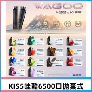 Kis5電子煙|WAGOO哇酷6500口一次性|10+風味煙彈自由混搭