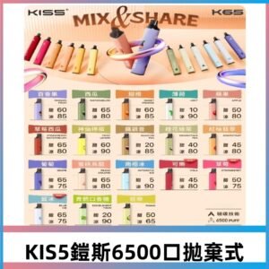 KIS5鎧斯一次性6500口磁吸式 自由混搭充電款電子煙#20個口味#