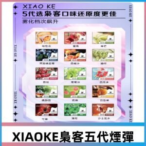XIAOKE五代煙彈|梟客可替換式電子煙|通用Relx6代/ILIA5代主機